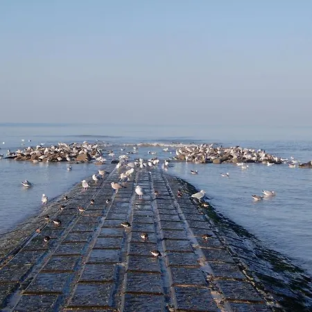 Appartement Delphine Koksijde